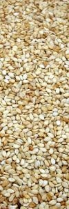 Sesamsaat Bio naturbelassen